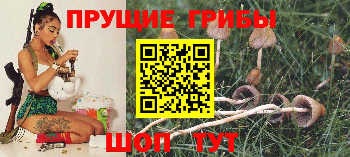 Галлюциногенные грибы GOLDEN TEACHER  Псилоцибиновые грибы ЛСД  Петропавловск-Камчатский  Вход с VPN 